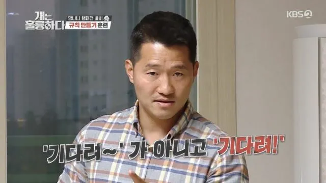 던파 라이브 방송 요약.jpg · 2번째 이미지