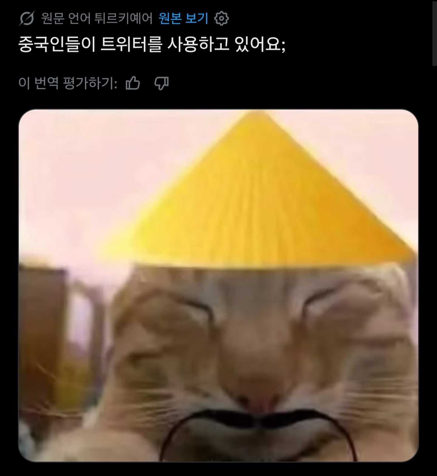 싱글벙글 지랄난 트잇따 세계대전 · 3번째 이미지
