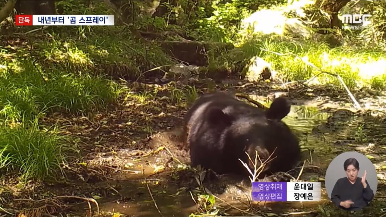 지리산 곰 100마리 육박하자 내놓은 특단의 조치 · 11번째 이미지