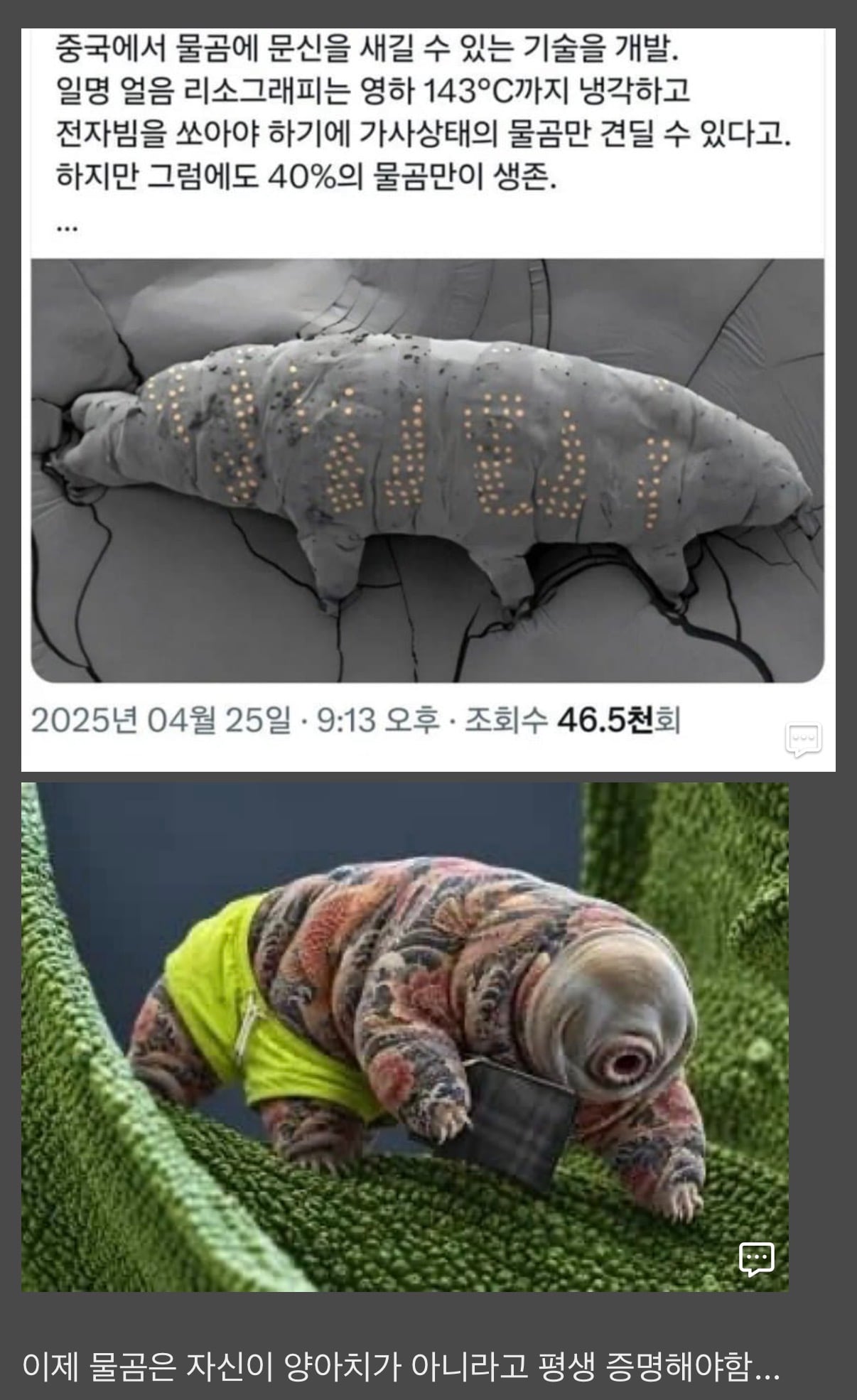 물곰도 이제 문신할 수 있음 · 1번째 이미지