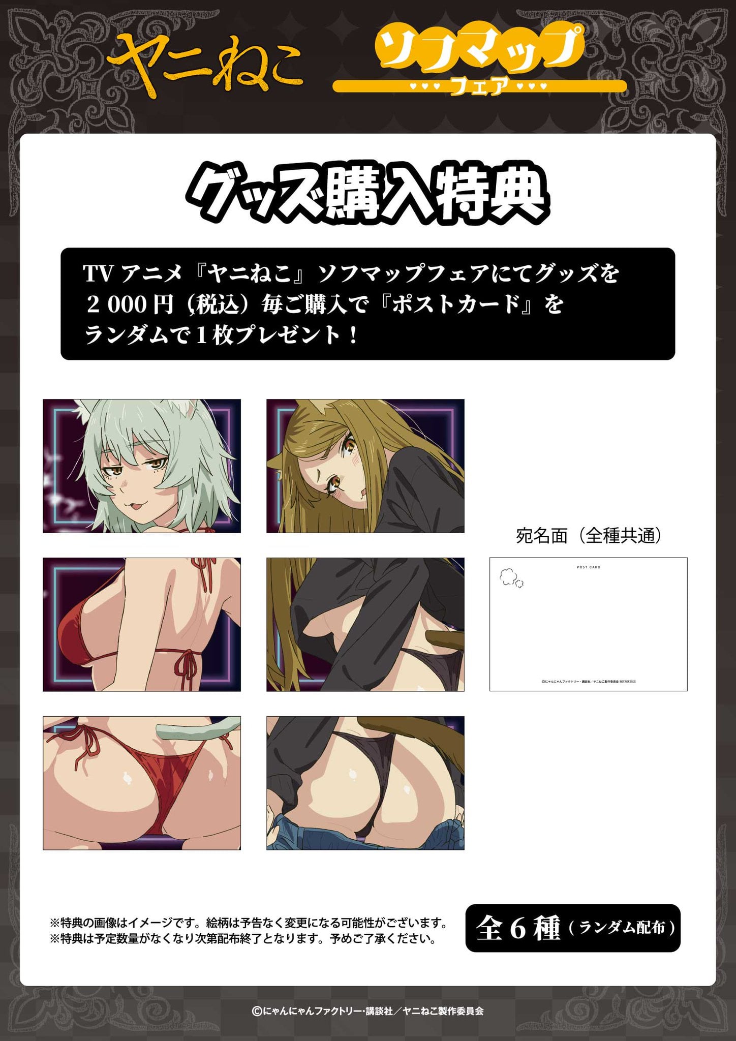 담배 고양이 근황.jpg · 1번째 이미지