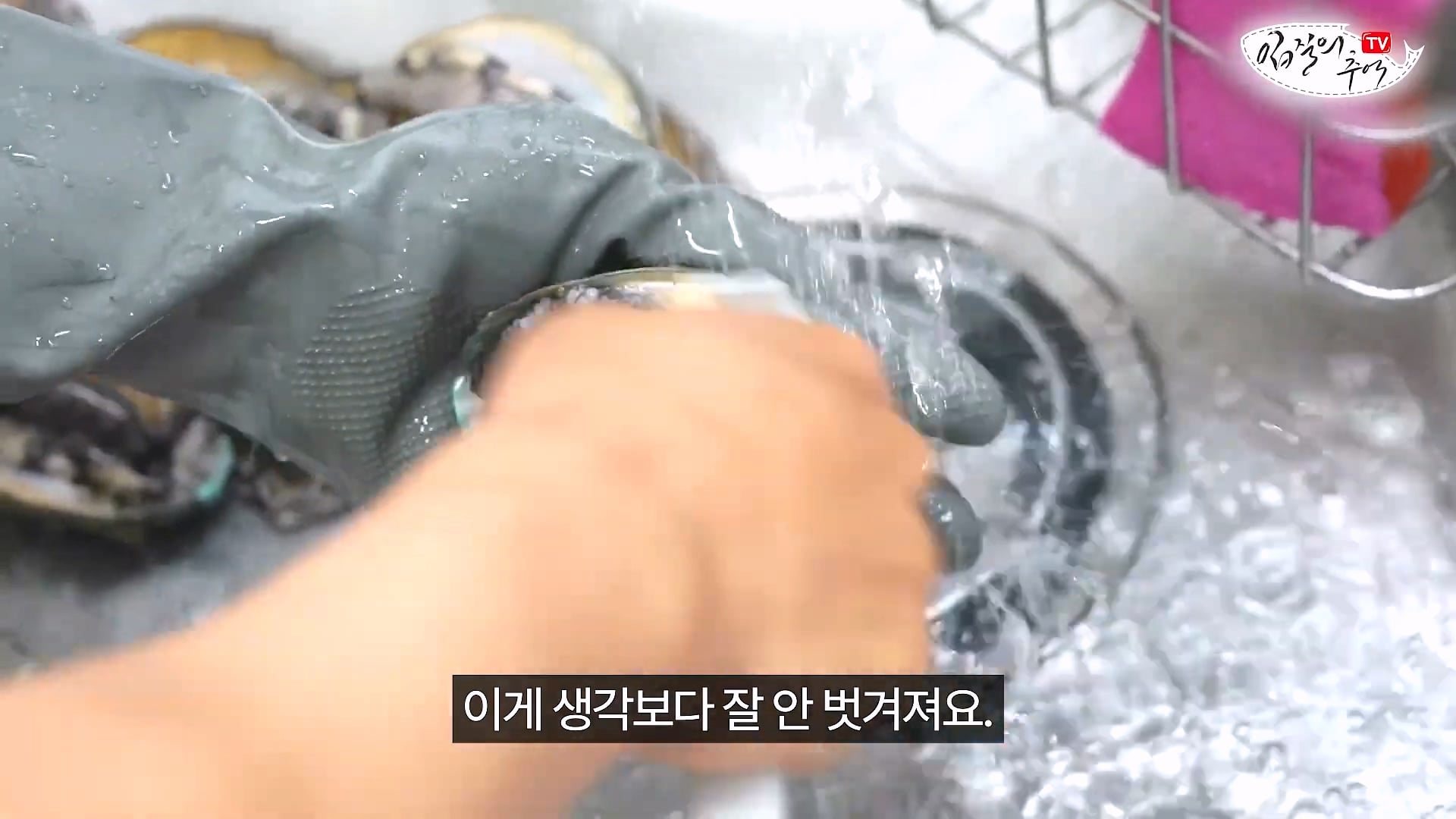 암컷 아저씨가 알려주는 손 쉬운 전복 손질 방법 · 14번째 이미지