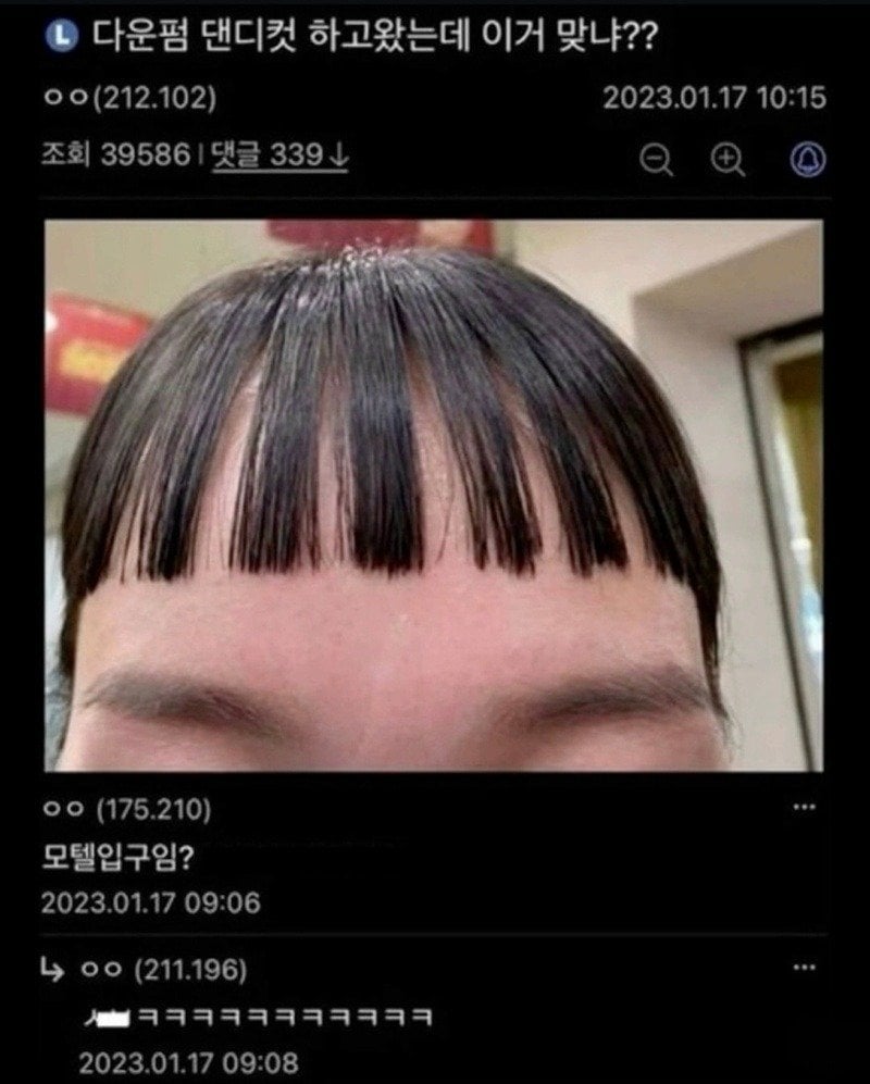 고전) 커뮤니티 유머글 모음.jpg · 17번째 이미지