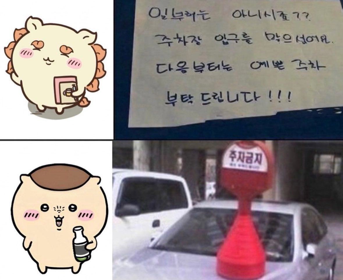 주차를 ㅈ같이 한 차를 본 치이카와들 · 4번째 이미지