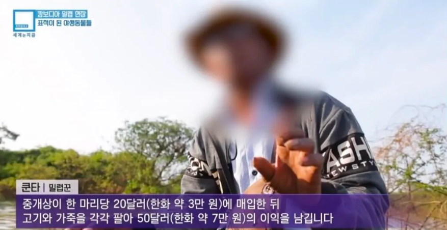 방송국이 품기엔 너무 컸던 언론인 · 7번째 이미지