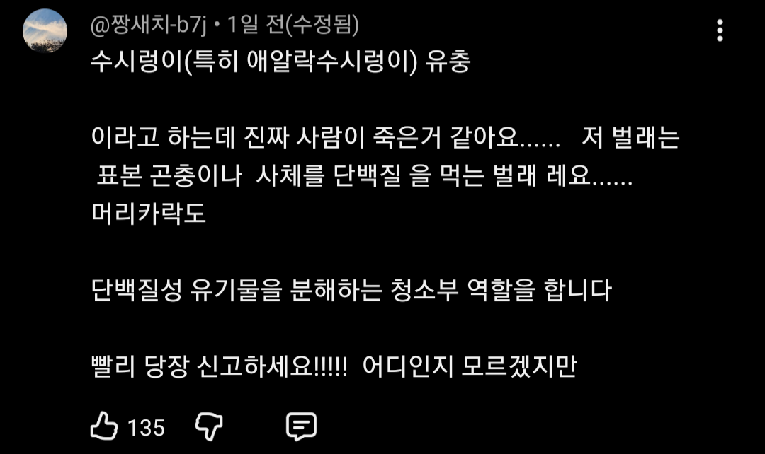 혐) 악취나는 집에서 나오고 있다는 벌레 ㄷ · 2번째 이미지