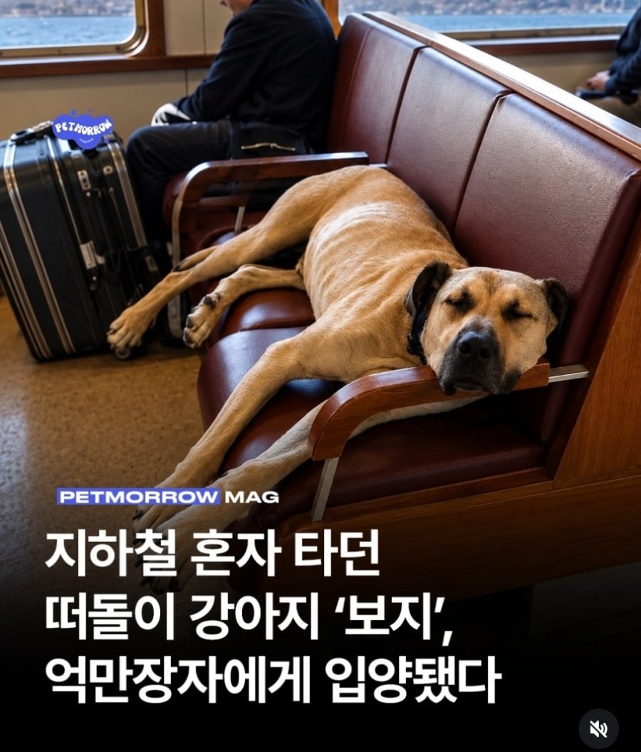 보지 결국 억만장자에게 · 1번째 이미지