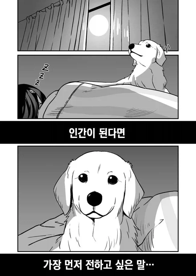 키우던 개가 사람이 되는 만화 · 2번째 이미지
