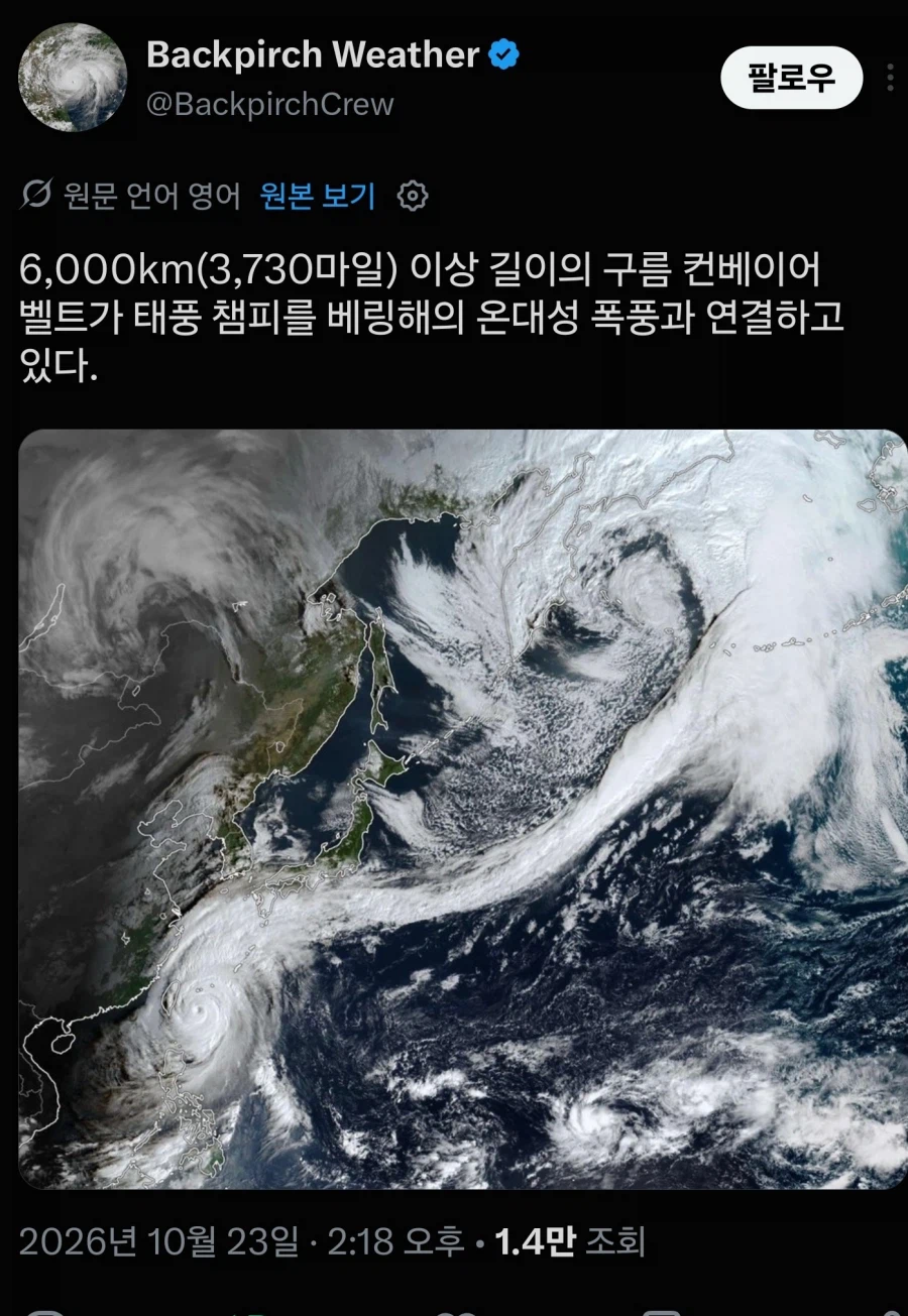 역대급 태풍이라는 참피 근황