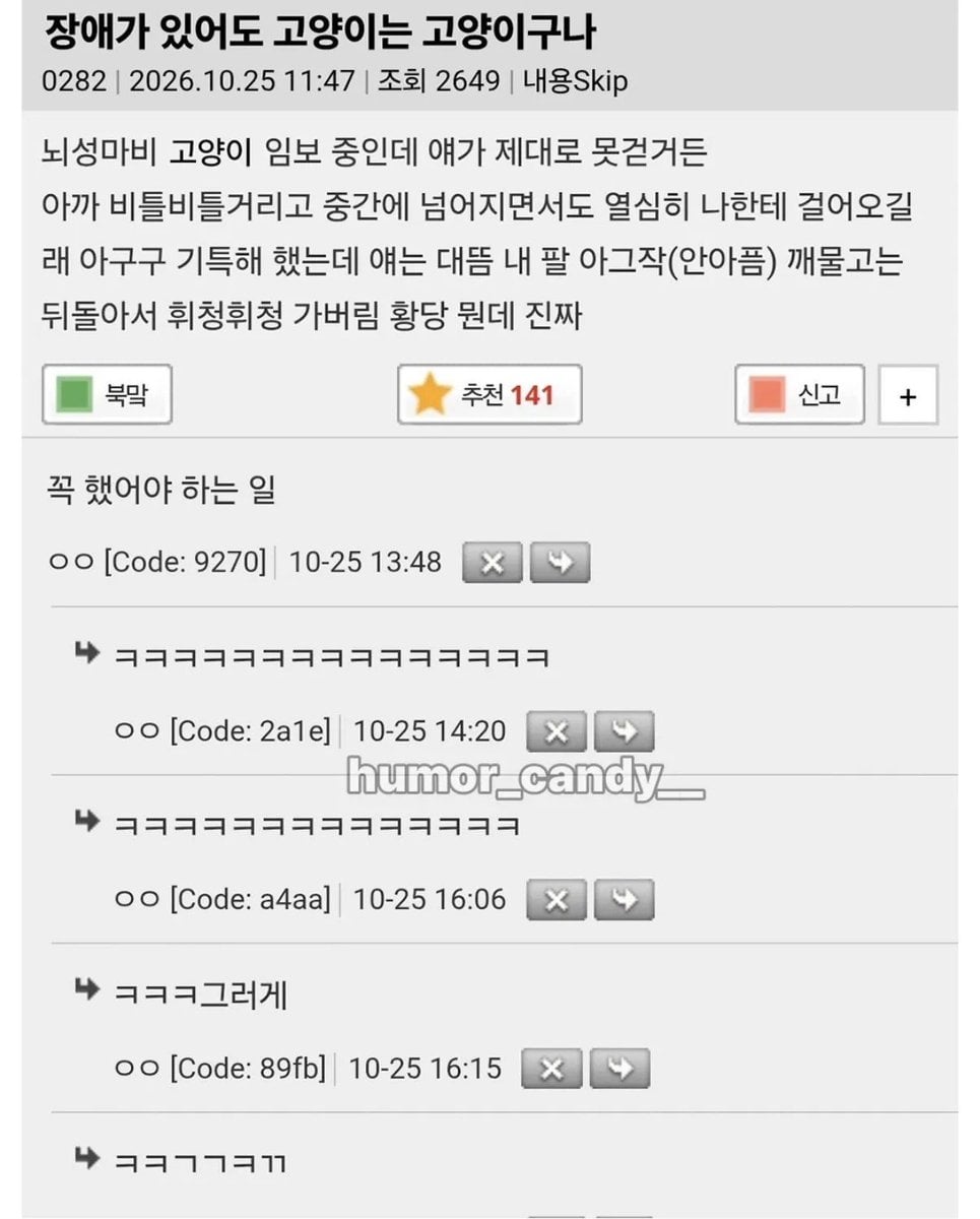 장애가 있어도 고양이는 고양이구나 · 1번째 이미지