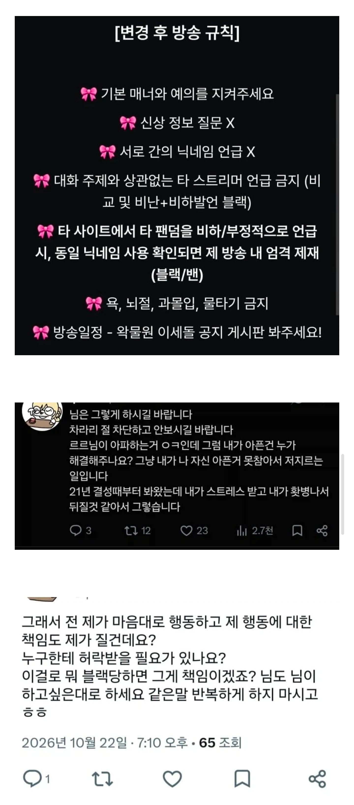 버튜버주의) 주르르 : 팬 여러분 분탕질 하지 마세요 · 1번째 이미지