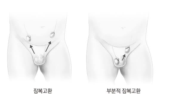 의외로 일반인들은 잘 모르는 사실 · 7번째 이미지