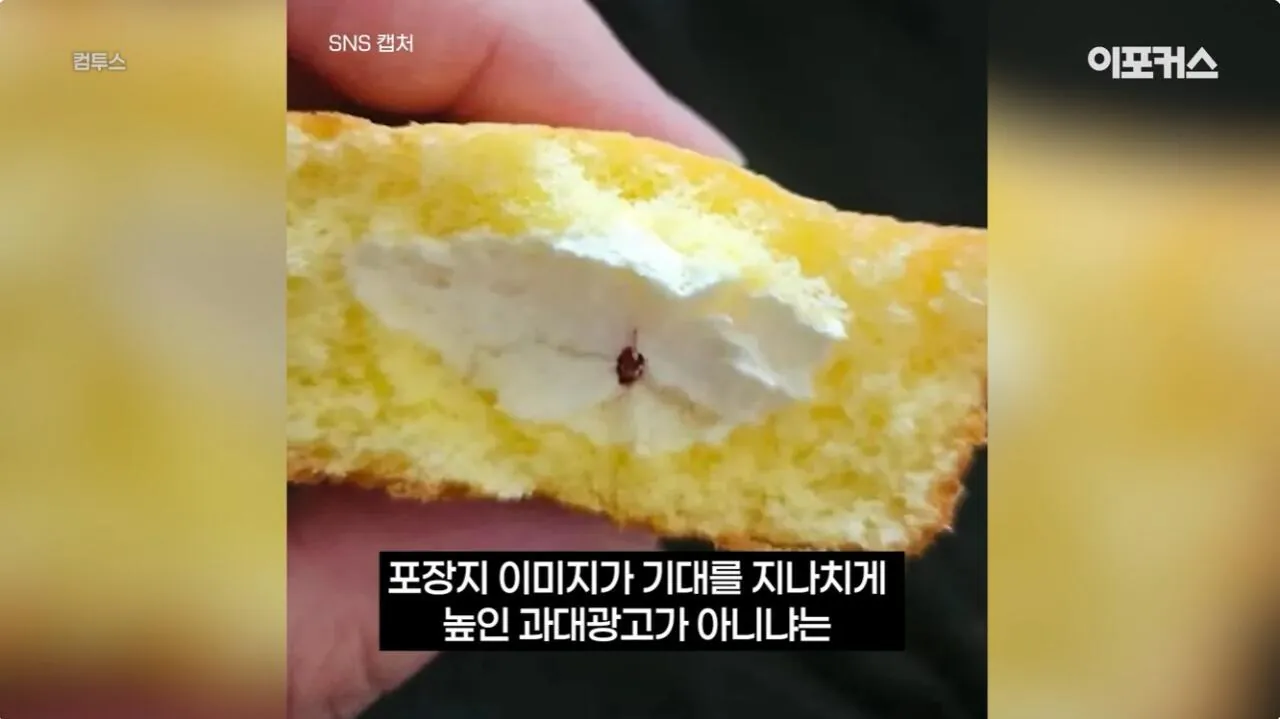 [자작][이미지때문에 스크롤 김] 포장 사기 논란이던 롯데 커스타드케이크 해체분석 · 1번째 이미지