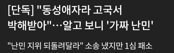 가짜 난민 브로커 적발 증가 · 11번째 이미지