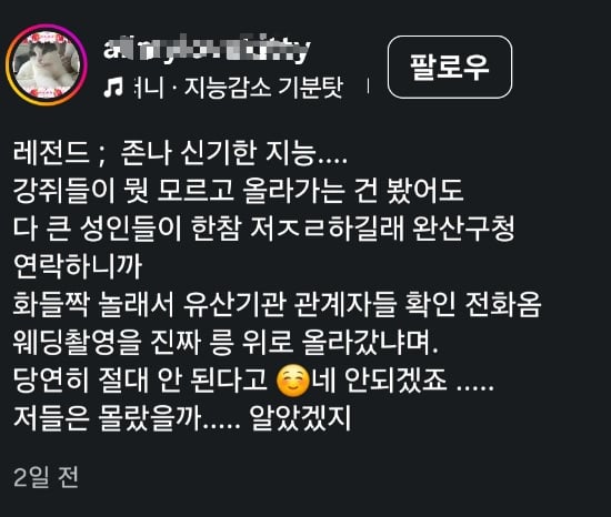 무덤 밟고 웨딩 촬영 · 7번째 이미지