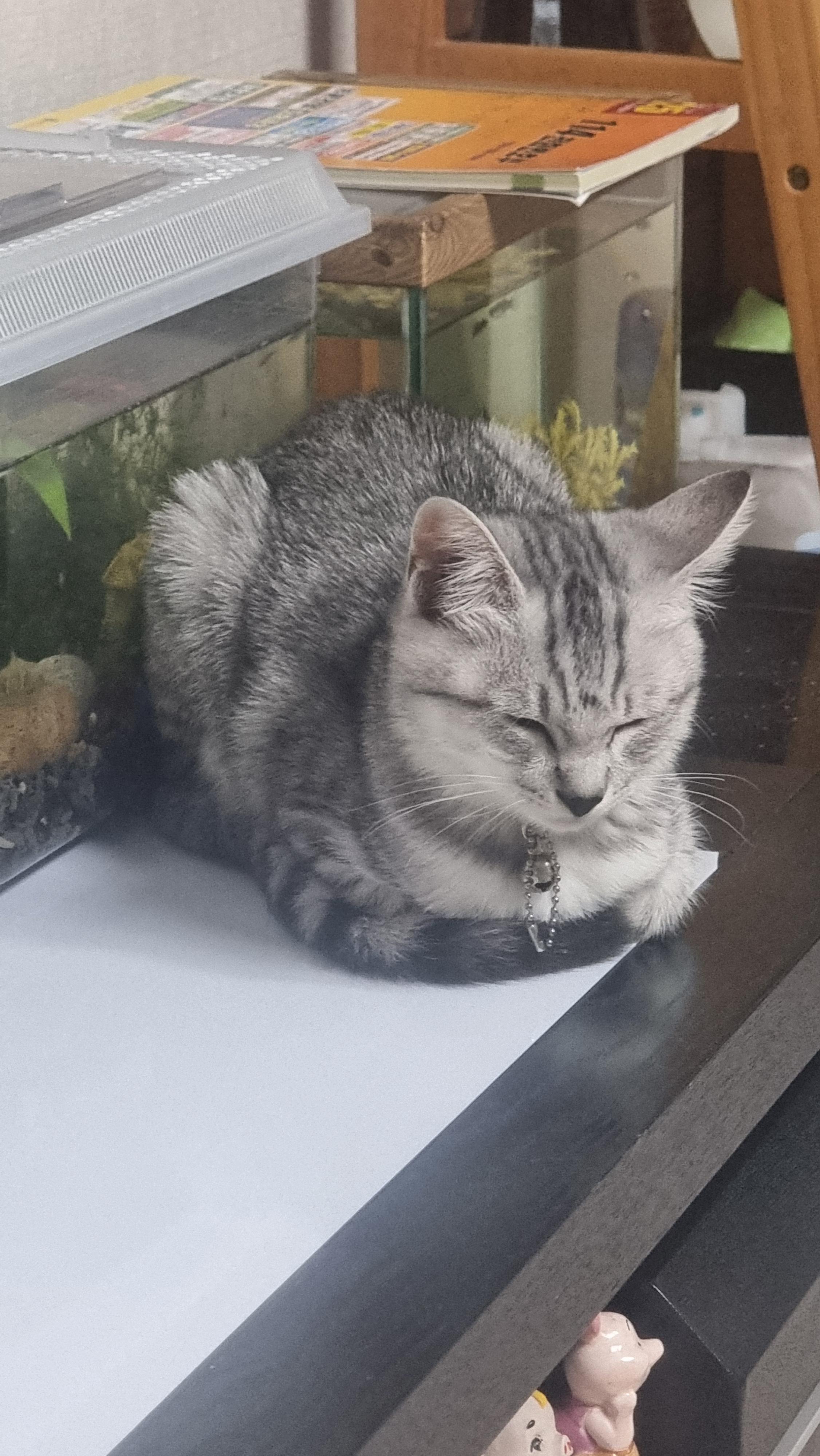 실수로 ㅇㄱㄸ글 써버렸네 미안해 애들아 🥺 · 9번째 이미지
