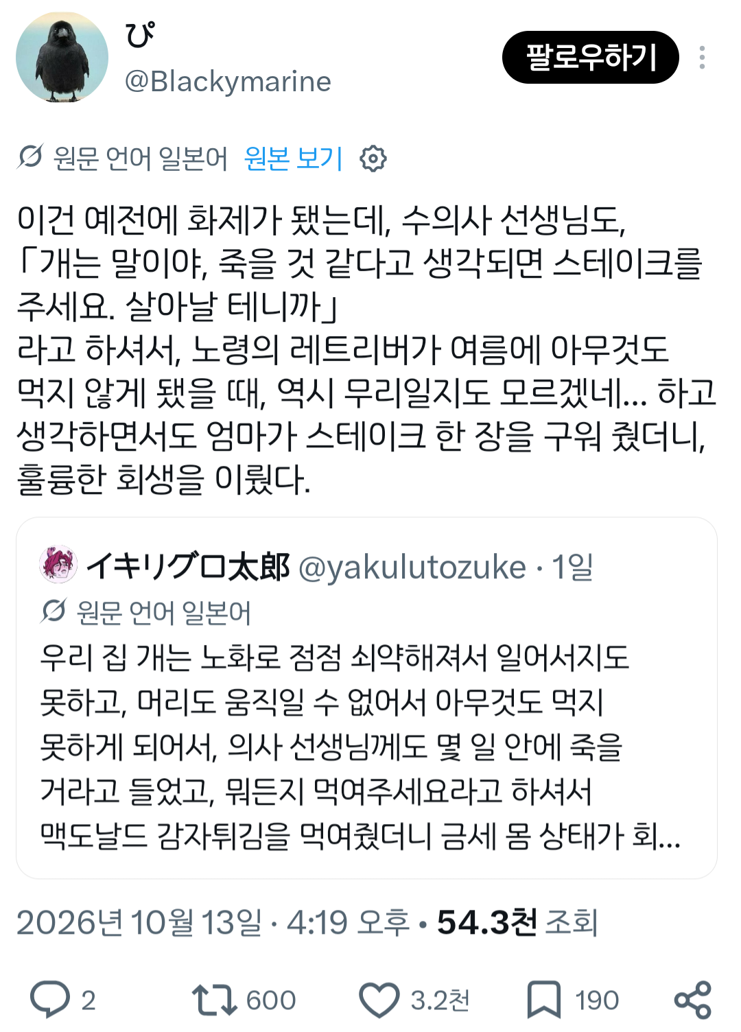 노령의 강아지 부활시키는 법 · 1번째 이미지