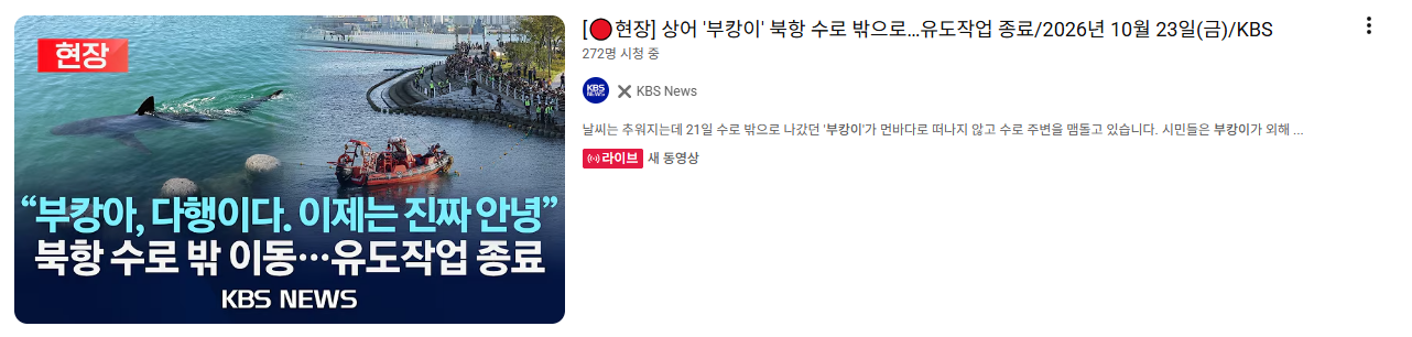부캉이 떠난듯 2시간 째 안 보여... · 3번째 이미지