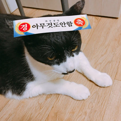 미국에서 최악으로 꼽는 알쏭달쏭 대통령 · 3번째 이미지