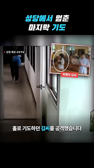 성당에서 칼부림으로 여성을 죽인 중국인이 한국을 택한 황당한 이유.jpg · 74번째 이미지