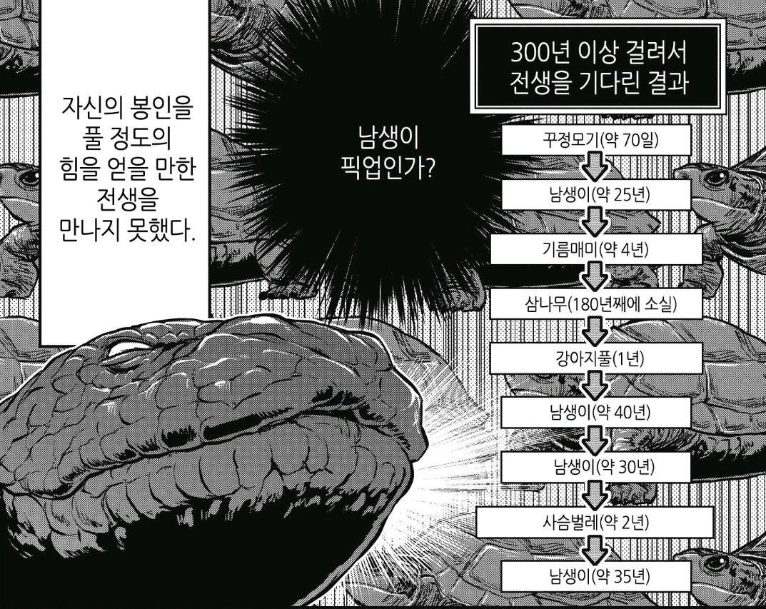 환생으로 봉인 해제를 노린 재앙신이 실패한 이유 · 2번째 이미지