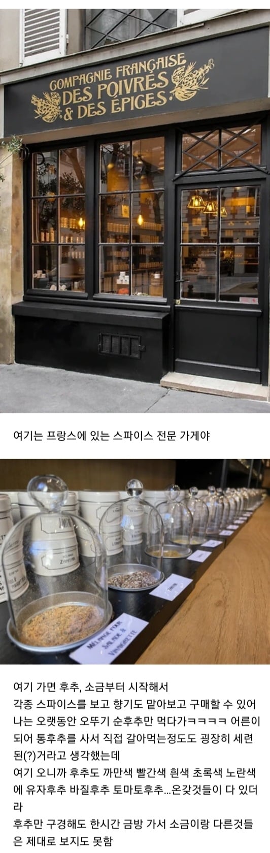 해외여행이 큰 경험이라고 생각하는 이유 · 2번째 이미지