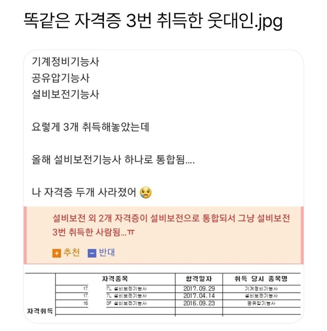 자격증 3개 취득한 웃대인 대참사..jpg · 1번째 이미지