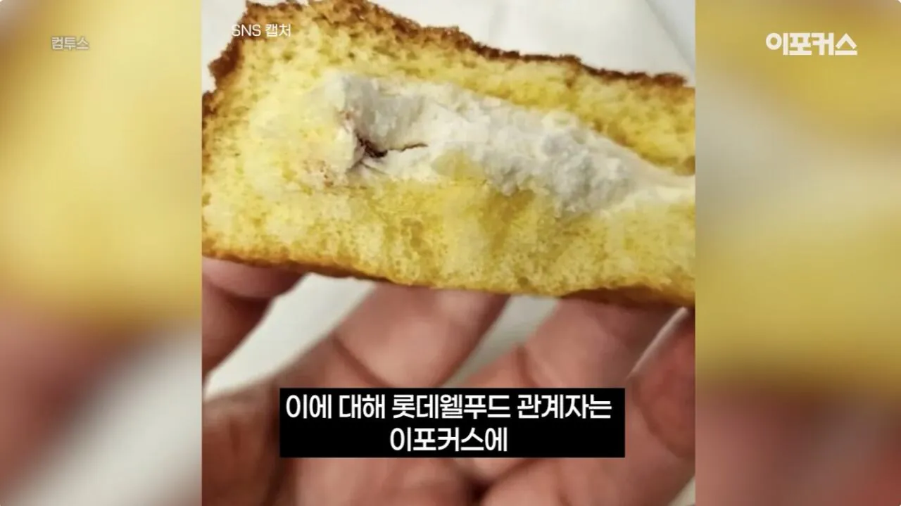 포장지 사진과 너무 달라서 논란이 된 신상 과자..jpg · 13번째 이미지