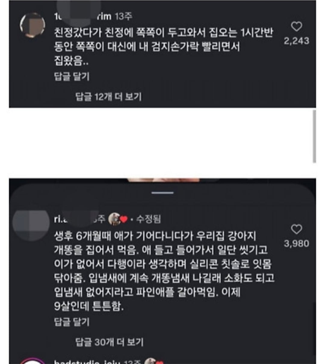 아기막 키우기대회 · 5번째 이미지