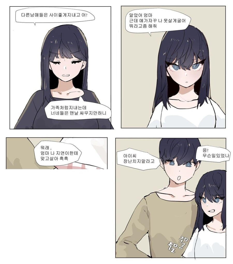 흔한 남매만화 · 3번째 이미지