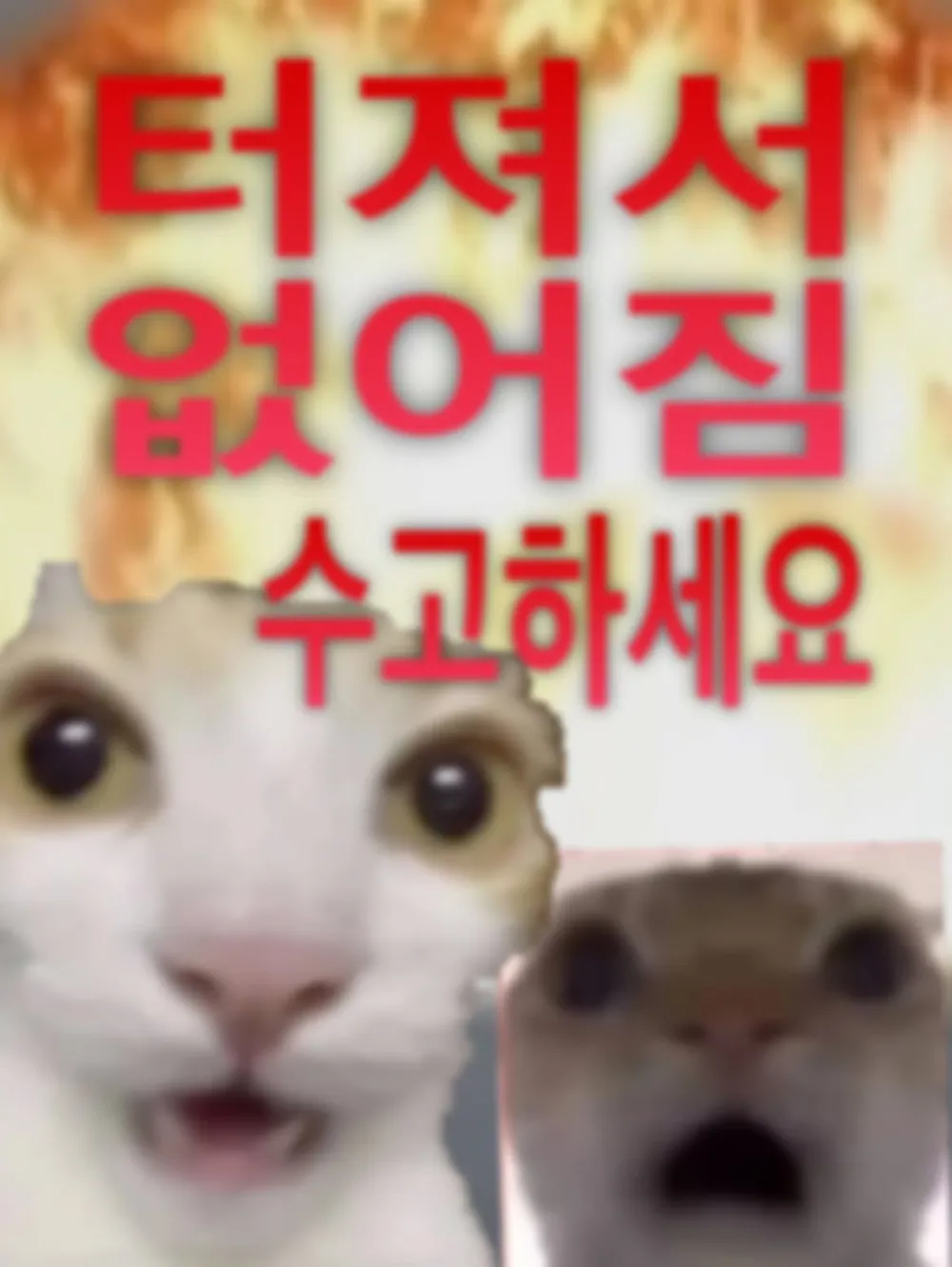 규모 20.0 지진이 일어나면 생기는 일.jpg · 13번째 이미지