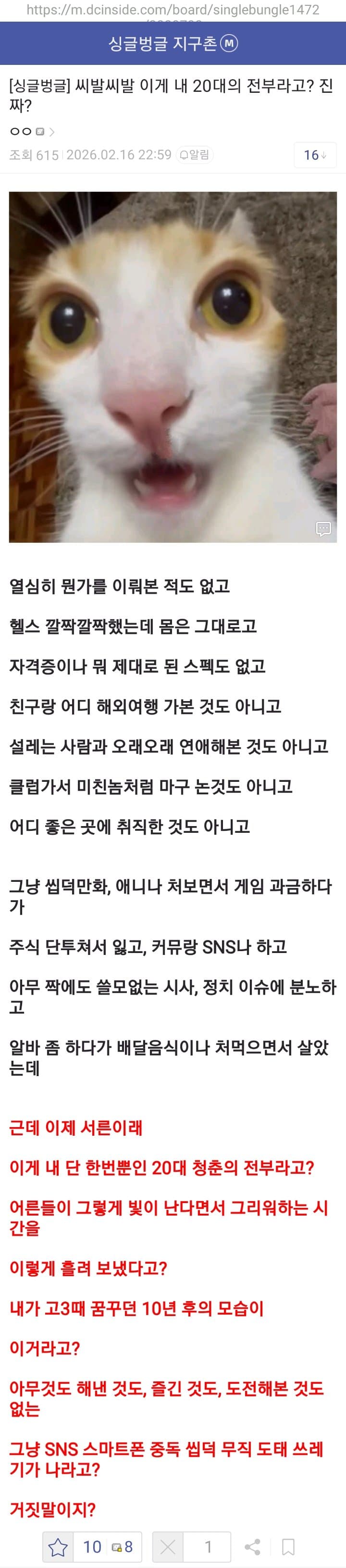 이게 내 20대의 전부라고?? · 1번째 이미지