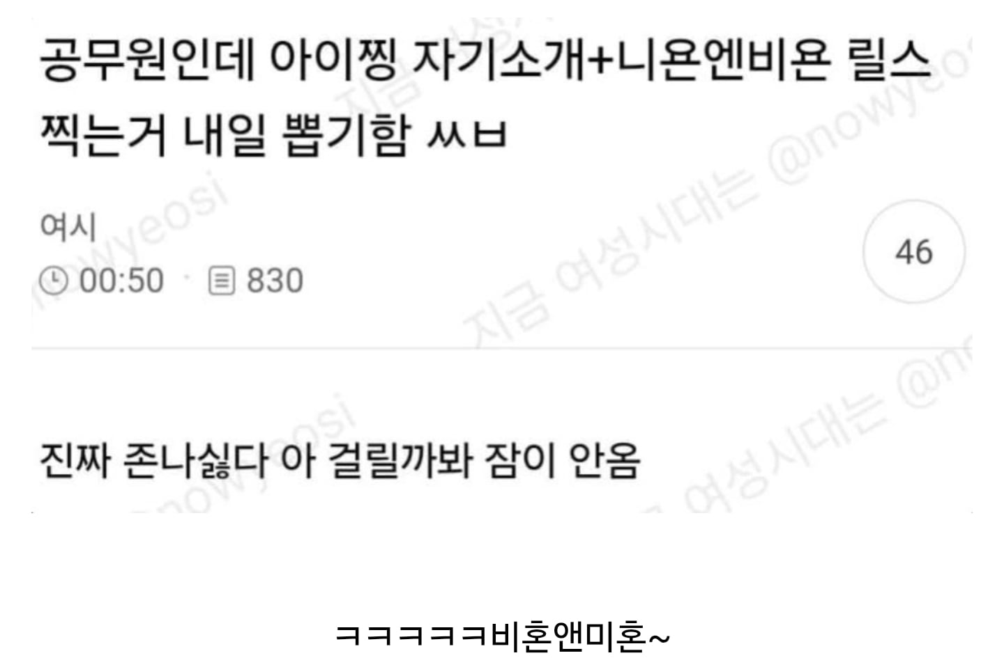 김선태가 쏘아올린 개 큰 공…