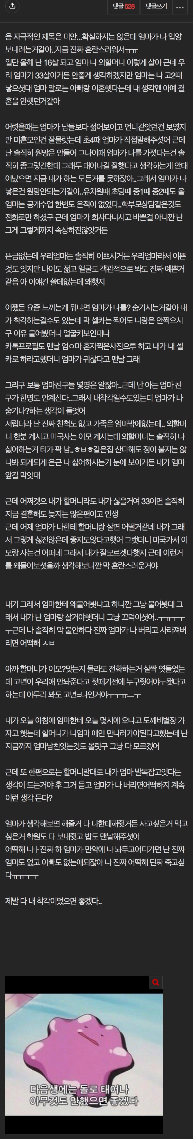 추가) 엄마가 나 입양 보내려는거같아 · 2번째 이미지