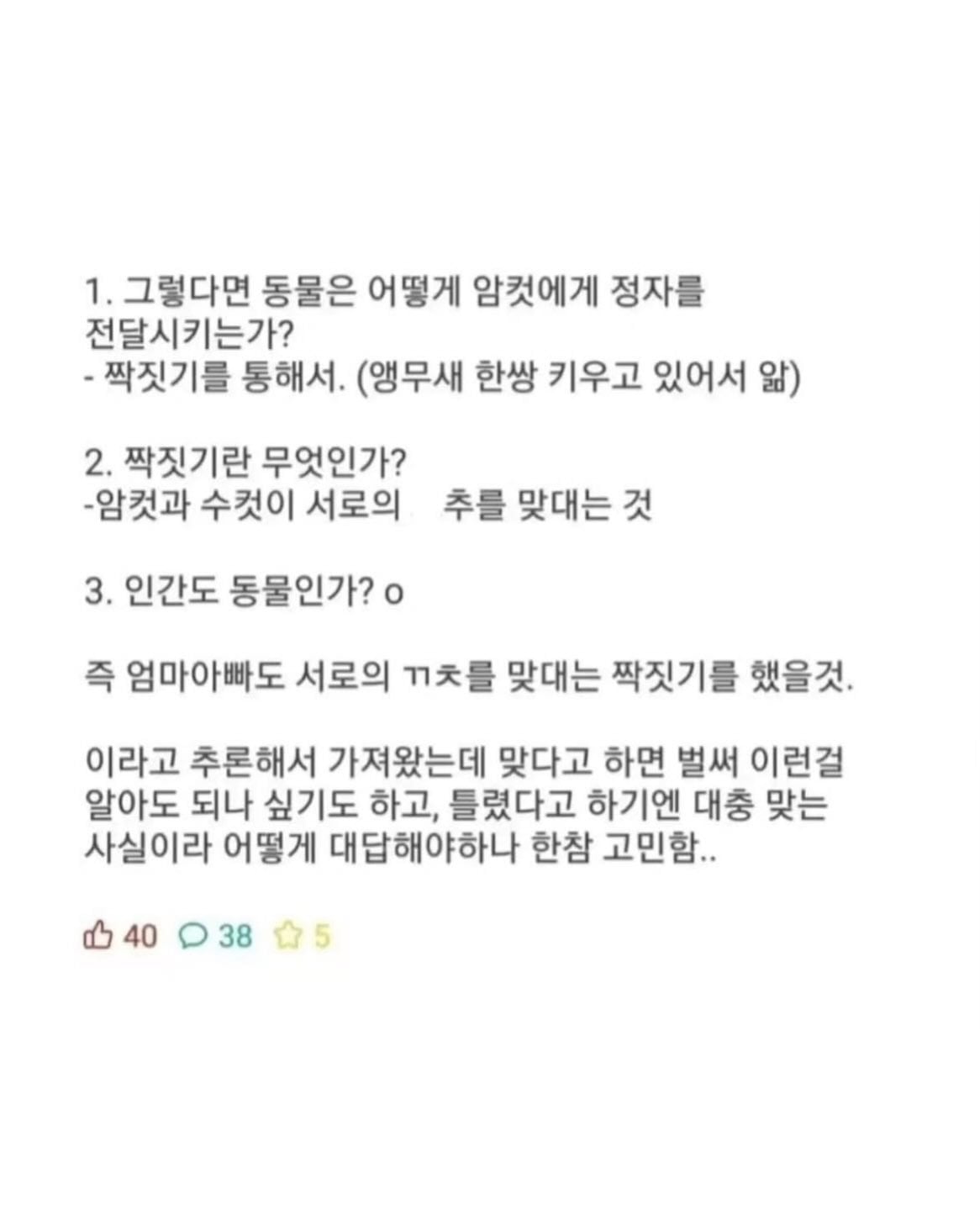 6살 아이가 ㅅㅅ를 스스로 추론함 · 2번째 이미지