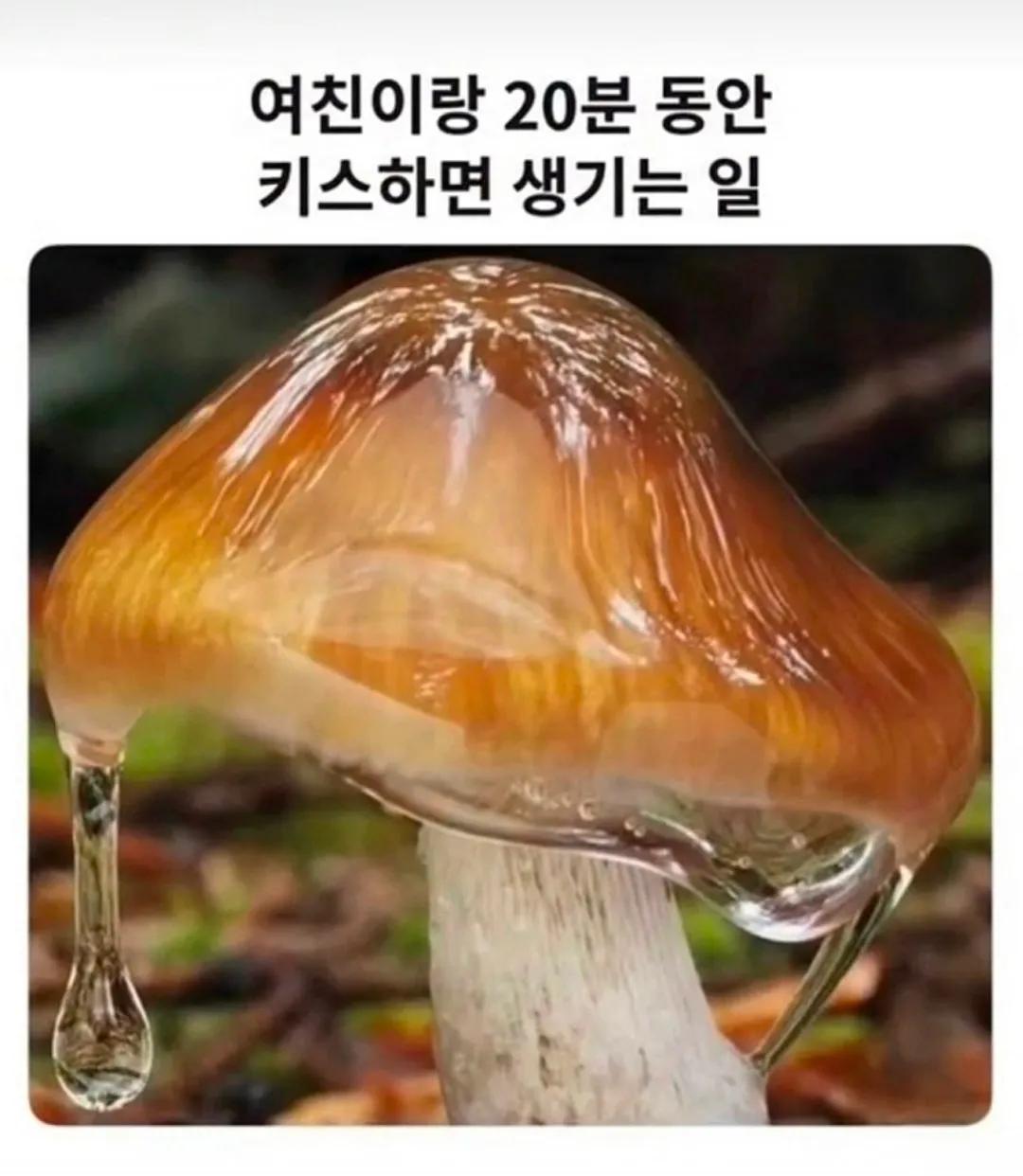 여친이랑 키스만 20분 동안 하면 생기는 일.jpg