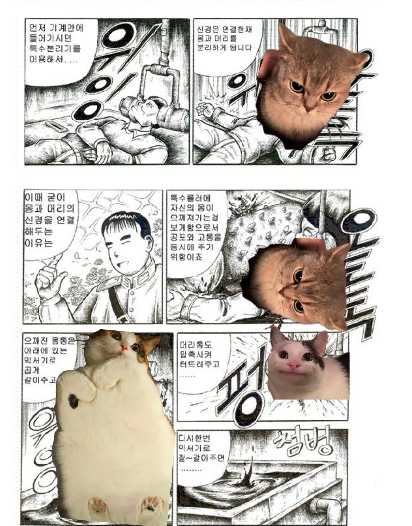 싱글벙글 북한 응원하는 애들이 맞이할 미래.manhwa · 6번째 이미지