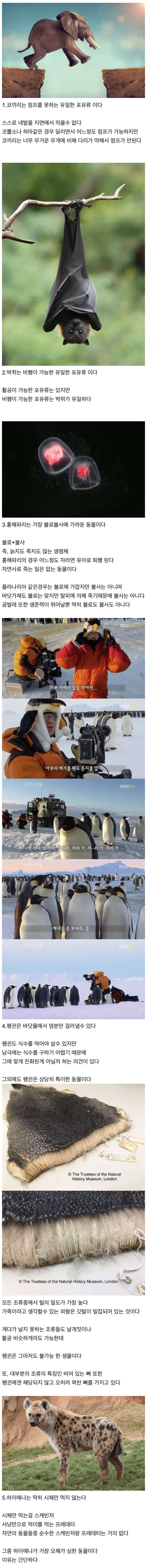 신기한 동물 지식 10가지 · 1번째 이미지