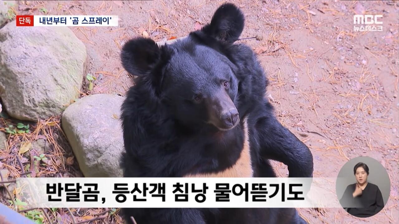 지리산 곰 100마리 육박하자 내놓은 특단의 조치 · 3번째 이미지
