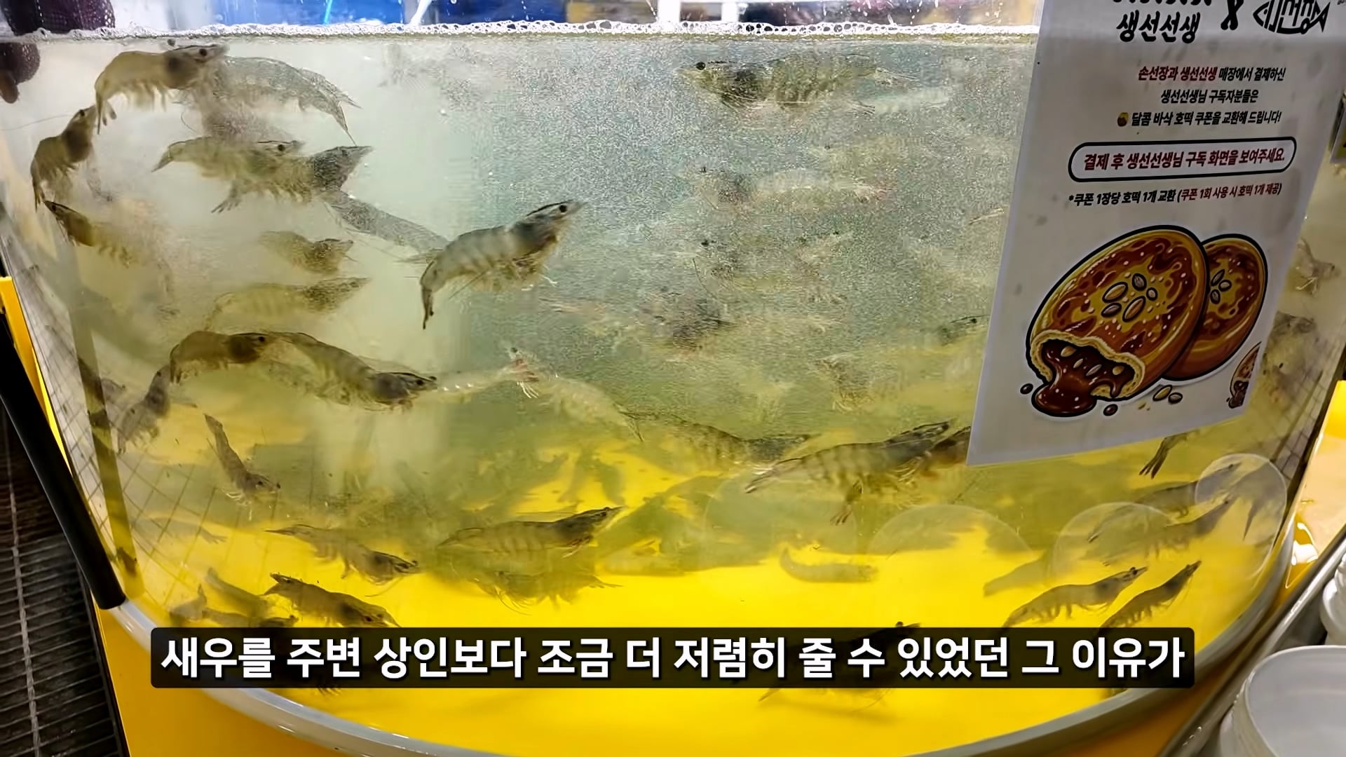 소래포구 저격하려고 14일간 잠입한 유튜버 · 10번째 이미지