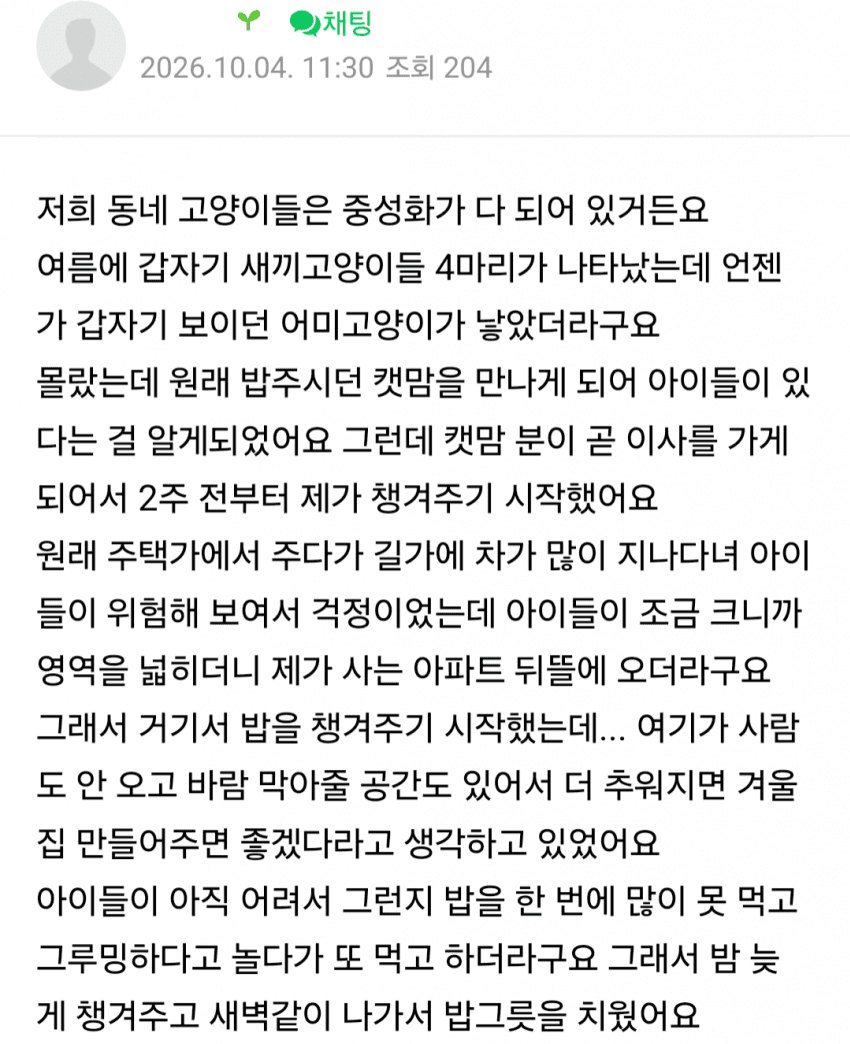 아파트에서 싸운 캣맘 · 1번째 이미지