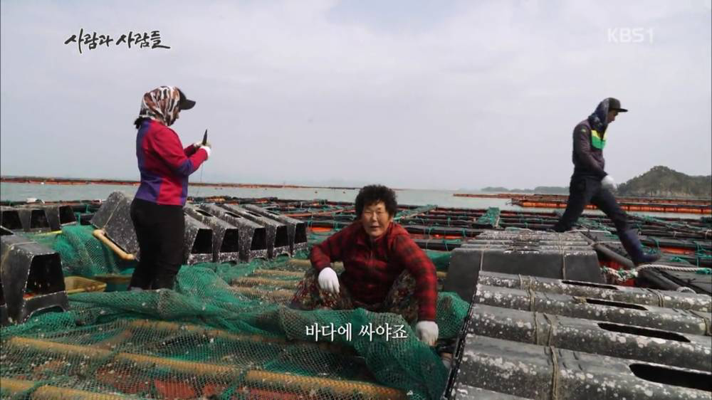 양식장에서 신호가 왔을 때 우짜는거야 그럼 · 2번째 이미지