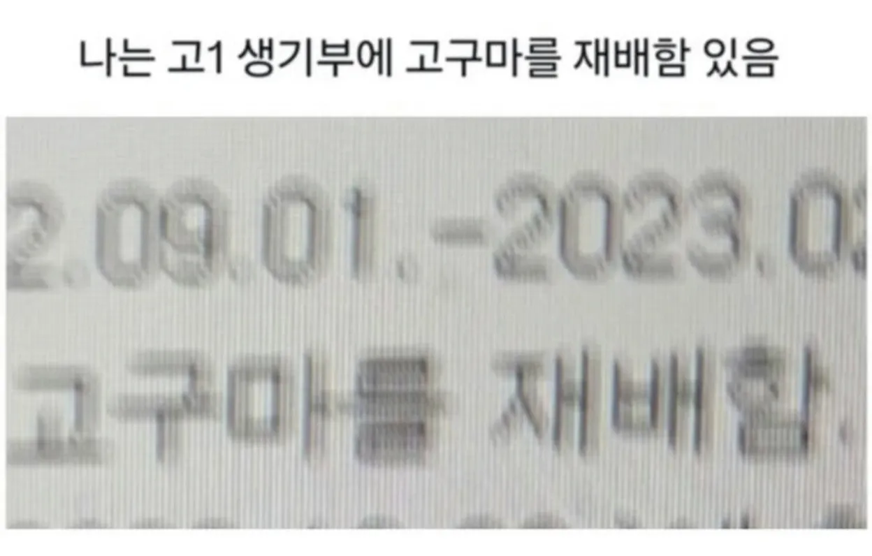 당황스러운 생기부 모음.jpg · 10번째 이미지