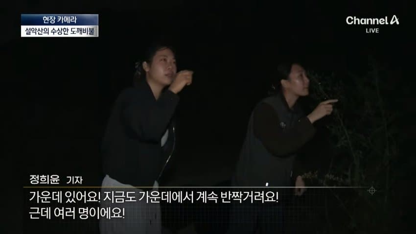 채널a) 송이버섯 1kg에 160만원...밤낮 추격전 · 8번째 이미지