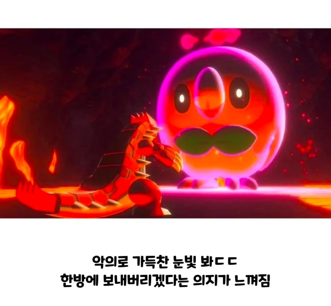 '진짜 쟤랑 싸워요?' 라고 보던 애 근황.jpg · 2번째 이미지