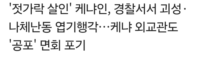 난민 범죄자 추방 못함 ㅋㅋㅋ · 14번째 이미지