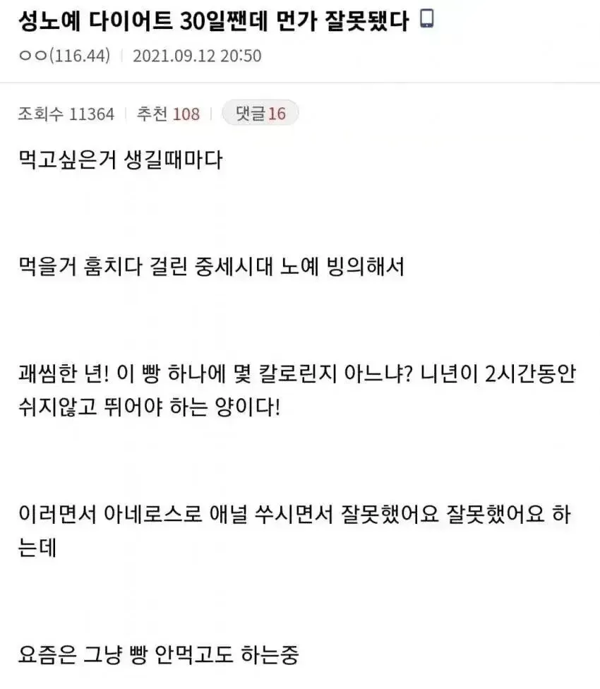 성노예 다이어트 후기