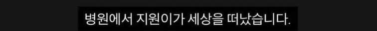 마라톤 대회에서 유명 여성 러너분 돌아가셨네요