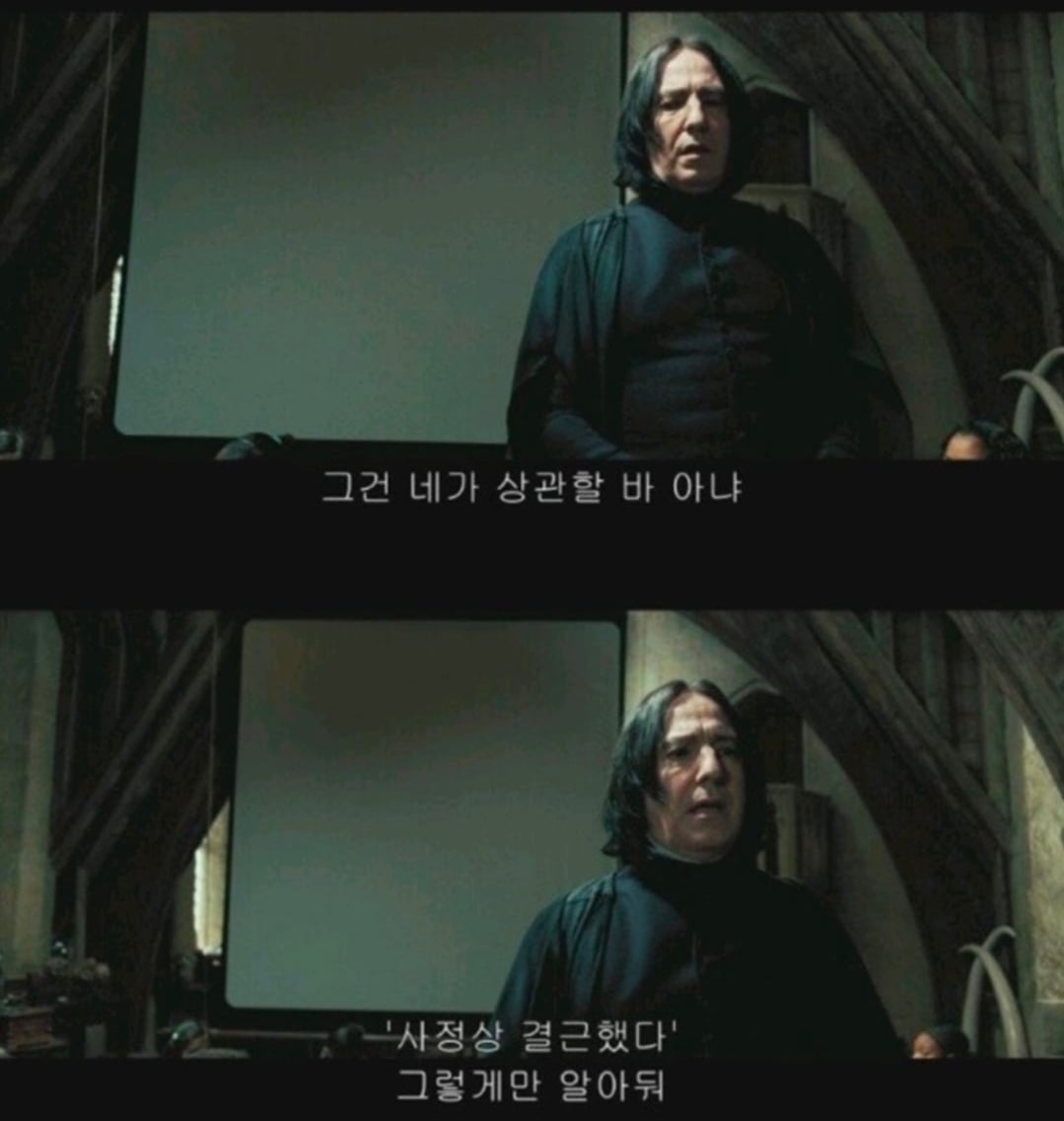 의외로 다 가르쳐주었다는 스네이프 교수.jpg · 2번째 이미지
