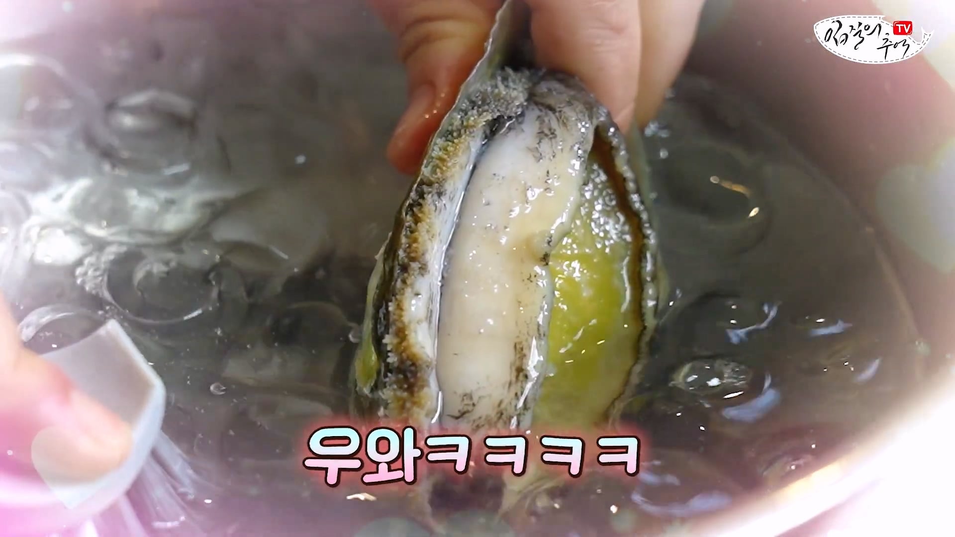 암컷 아저씨가 알려주는 손 쉬운 전복 손질 방법 · 18번째 이미지